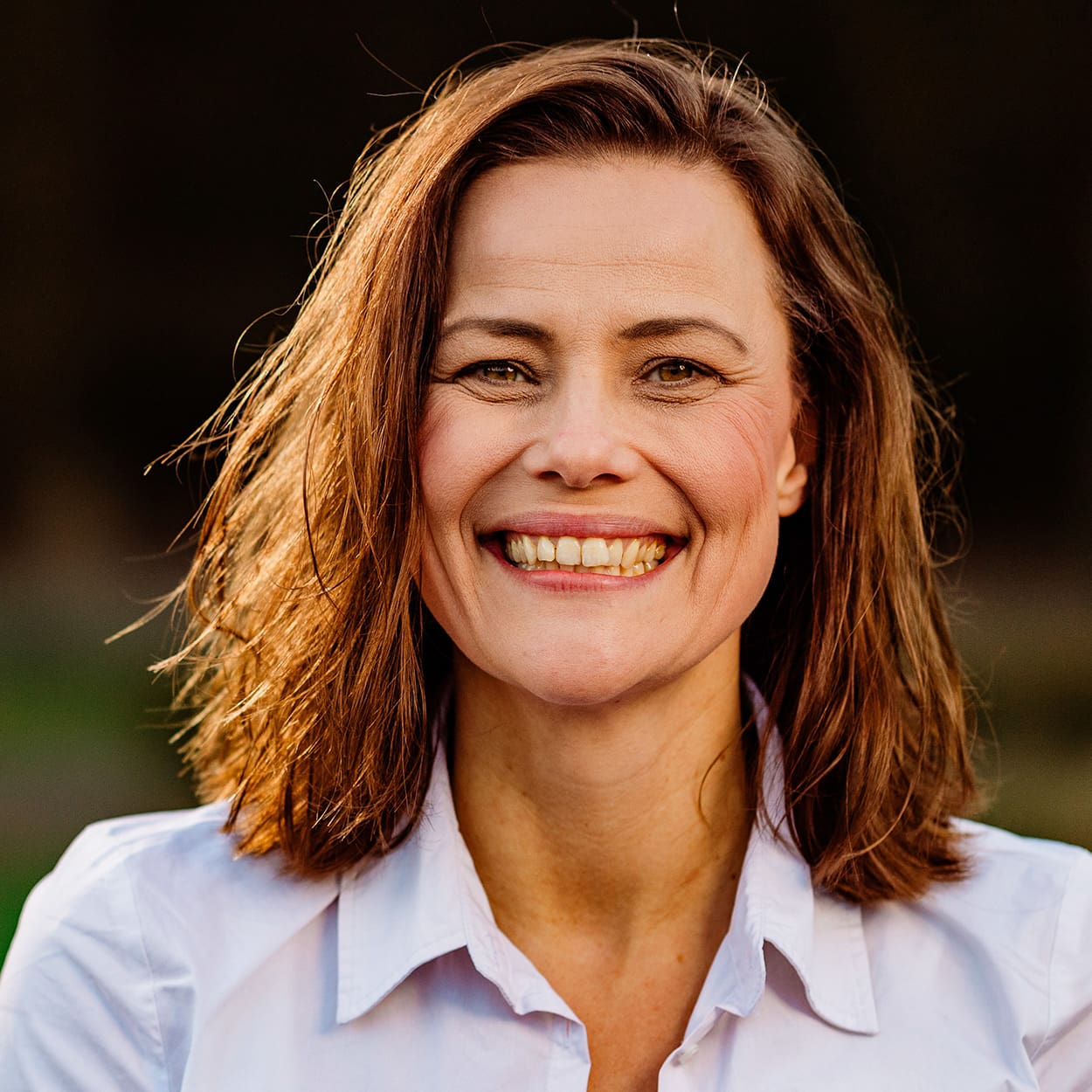 hd-card-team-2025-tine